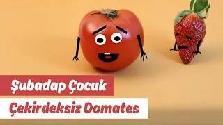Çekirdeksiz Domates | Video | Şubadap Çocuk