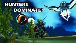 Marksman Hunters are OP in World PVP!🏹 | WoW Classic 45+