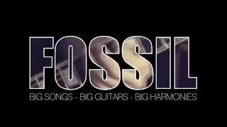 FOSSIL PROMO 2016