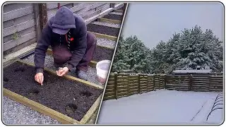 197. The vegetable garden is over, time to rest!