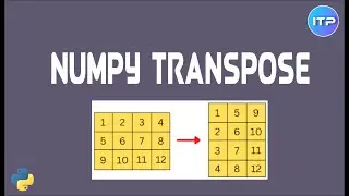 NumPy Transpose | What is NumPy Transpose? | Python | An IT Professional