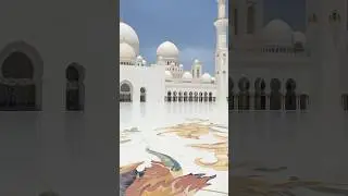Abu Dhabi #travel #viral #beautiful #trending #shorts #uae #fyp #trendingshorts #abudhabi #best