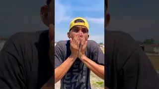 Firulais cayó en un lugar muy extraño 
