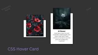 Create Animated Image Card UI Design with Hover Effect Using HTML CSS 