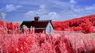 Aerochrome (failure) and Lomochrome