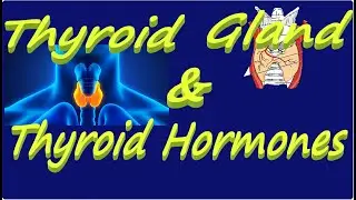 Hormones of Thyroid || Thyroid Gland || Thyroxine