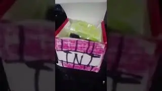 very shy creeper