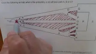 Geom Sem 1 09 Probability 03 Rat Maze Practice CreatorMath.com