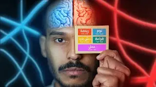 كيف يصير عندك مخ لا ينكسر 🧠