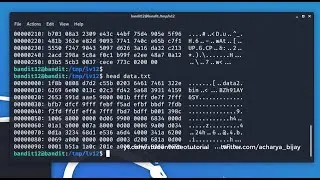 [Kali Linux] CTF Bandit : Level 12 → Level 13 [Over the wire]