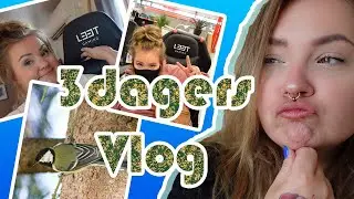 TREDAGERS VLOG | Nytt objektiv - fuglefotografering!? | Ny gamingstol | Trenger hjelp..