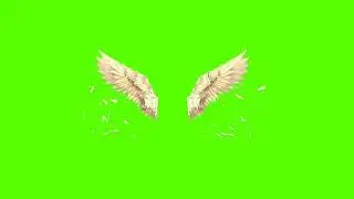 green screen weather fly video
