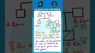 TYT Biology | Be Careful with Blood Type Family Tree Questions! | This Information Will Help You ...