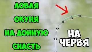ОН ОТОРВАЛ МОЮ СНАСТЬ! Ловля ОКУНЯ на ДОННУЮ СНАСТЬ на ЧЕРВЯ. Рыбалка на окуня