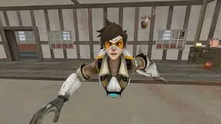 SFM Bullying Compliation (SFX)