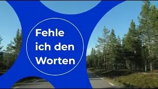 Fehle ich den Worten (lyric video)