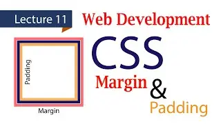 Learn Web Development | CSS | Margin and Padding Concepts | Lecture No 11