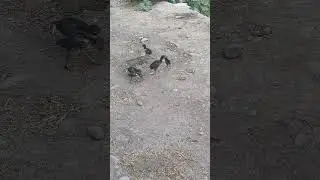 ЖАХОН ТРАВЕЛ УМРА 991274874 (ОХУНОВ ТВ)