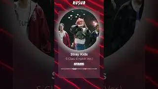 [ACAPPELLA] Stray Kids 