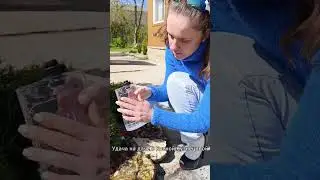 Покоритель женских сердец