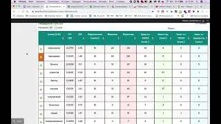 Аудит системы лояльности UDS
