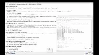 5.4.1.2 - Packet Tracer - Configure IOS Intrusion Prevention System IPS Using CLI   High Res Full