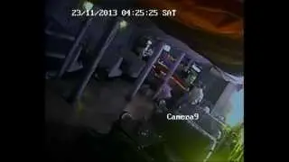 Охранник нокаутировал  пьяное быдло