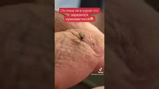 18 июня 2023 г.