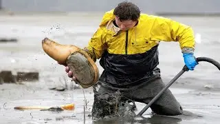 Giant Geoduck Clams Catching - Fastest Monster Clams Digging and Processing Skill
