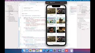 How To Create Simple CollectionView In Swift IOS