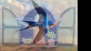Лиля Муромцева. Ласточка