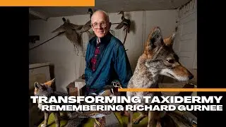 Transforming Taxidermy: Remembering Richard Gurnee