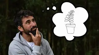 🙂 MI SECRETO DE LA FELICIDAD | La teoría de las macetas 🪴
