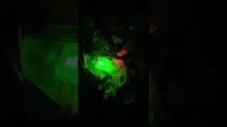 Светлячки