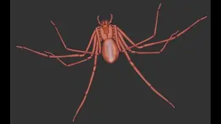 Aranha marrom, a frágil e perigosa aranha de peçonha mais forte do Brasil