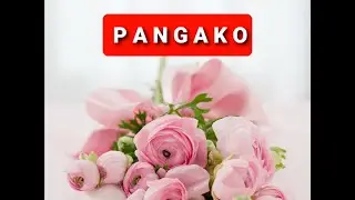 PANGAKO ~  KINDRED GARTEN | No Copyright