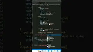 Input field animation in css 