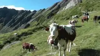 Colle della Borra da Piamprato