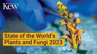 State of the World’s Plants and Fungi 2023