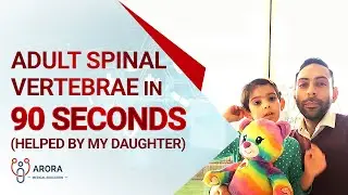 Adult spinal vertebrae in 90 seconds (helped by my daughter!)