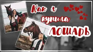 КАК Я КУПИЛА ЛОШАДЬ? | Анабель