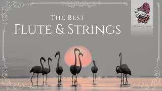 The Best Flute & Strings | Italian Baroque Emotional Music