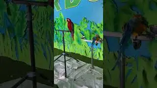 burung apa ya? #wisatasatwa #ibarbopark #burung #minizoo