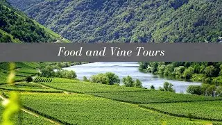 Food and Vine Tours