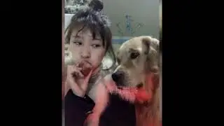 Random Animals Series #19