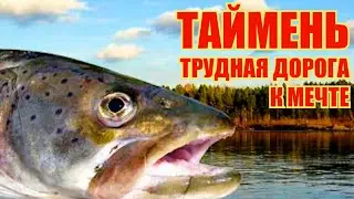 ЛОВИМ ТАЙМЕНЯ. Трудная дорога к мечте. Фильм 6