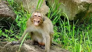 What happen in Amari group Like that?| DeeDee angry too much |