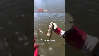 Benda Ini Bisa Mengurangi Populasi 