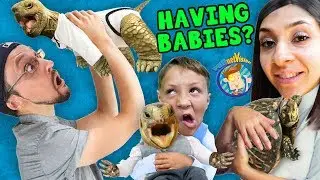 WE'RE HAVING MORE BABIES!  FV Family SCREAMINGLY FUNNY Vlog