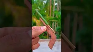 Bamboo Creations With Toys 